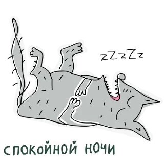 💤
