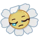 😔
