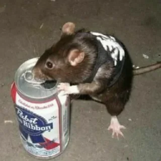 🍺