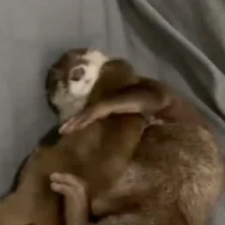 🥰