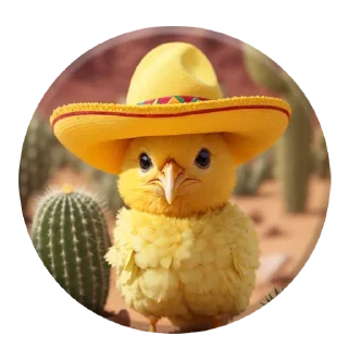 🇲🇽