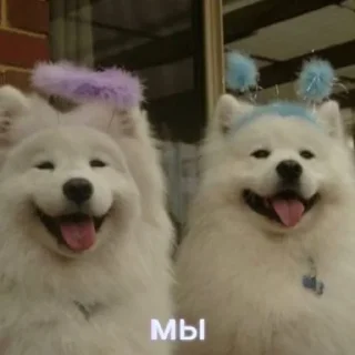 👩‍❤️‍👨