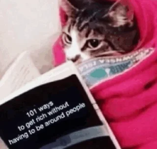 📚