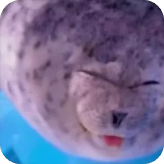 🦭