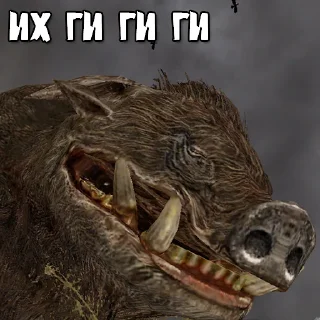 🐽