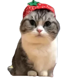 🫥