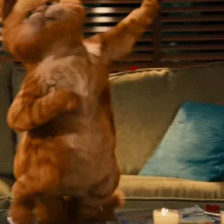 💃