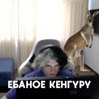 🦘