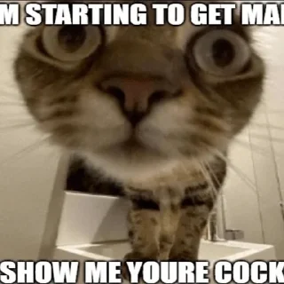 😍