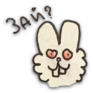 🐰