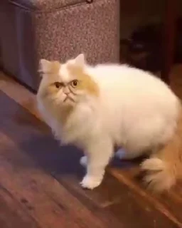 😠