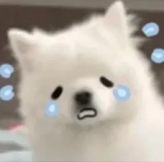 😭