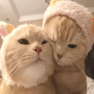 💗