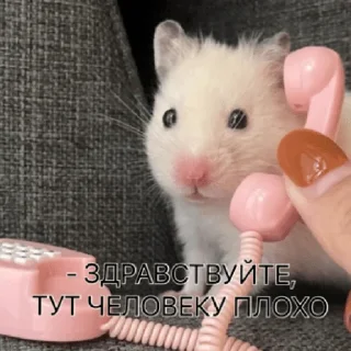 🤳