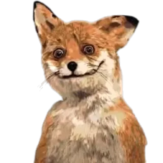 @ID0oo0 | Закулисье | fox / лис / лиса / с лисами
