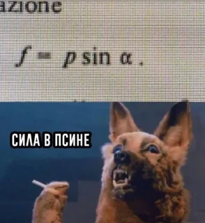 🐕