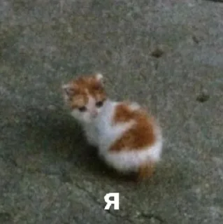 😭