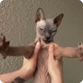 🤗