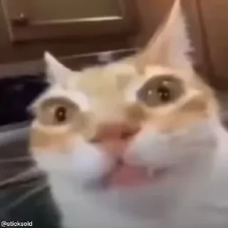 🤯