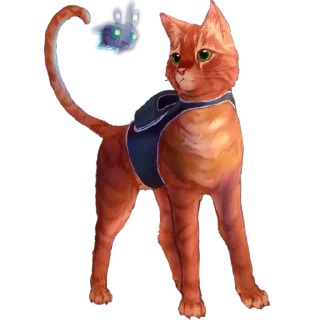 🐱