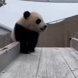 😭