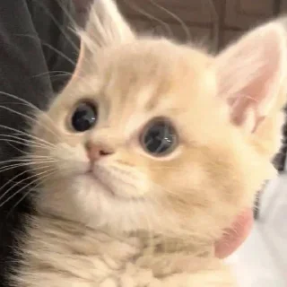 😳