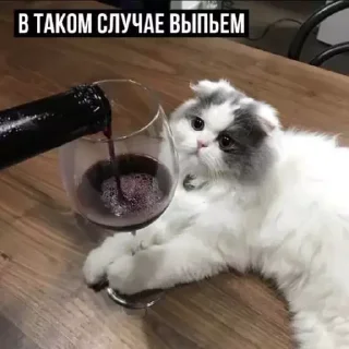 🍷