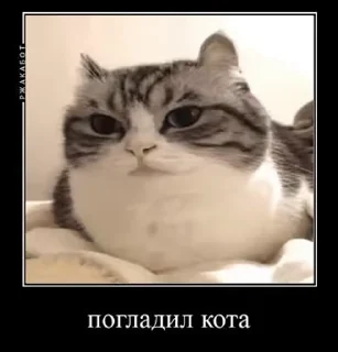 🤏