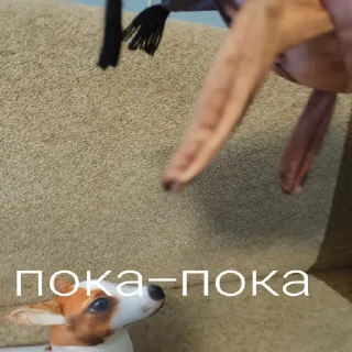 😢
