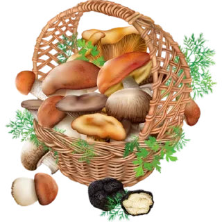 🍄