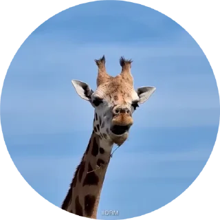 😐