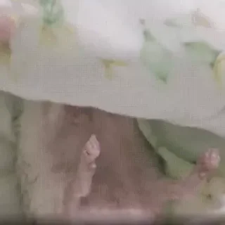 😏