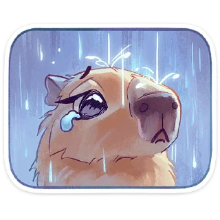 ☔️