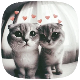 😻