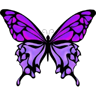 🦋
