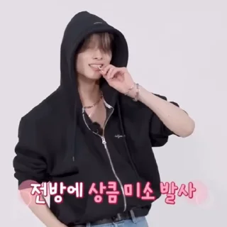 🐥