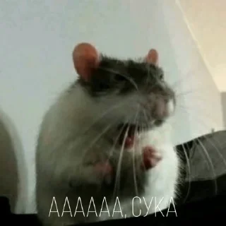 🤬