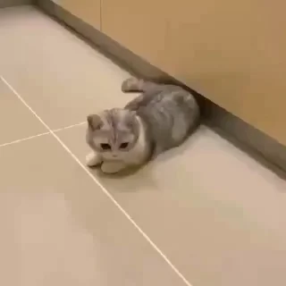 ☺️