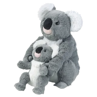 🐨