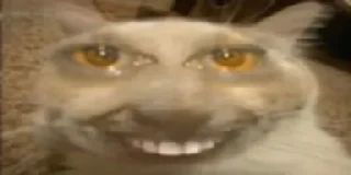 😬