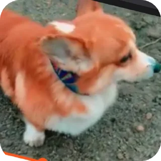 👍