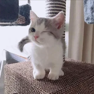 😉