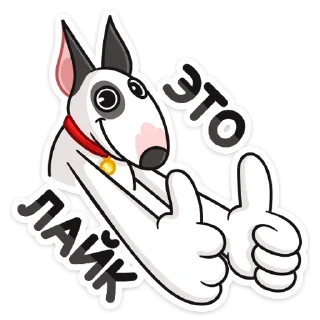 👍