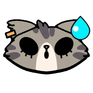 🙀