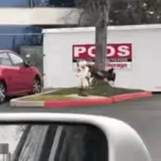 😁