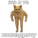 😠