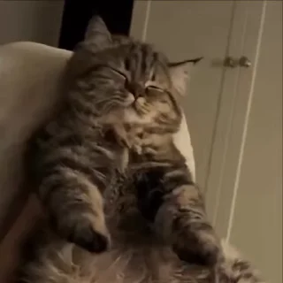 👯‍♀️