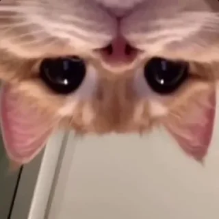 🙃