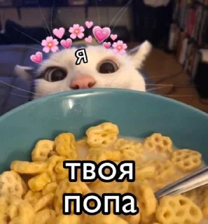 ❤️
