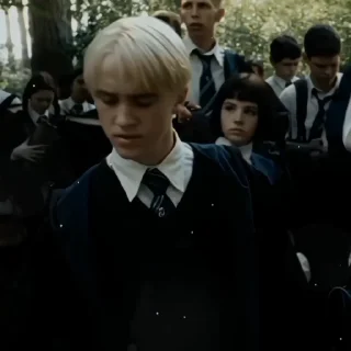 🐍